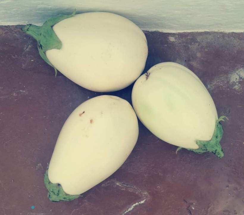 FB_IMG_1540634959676