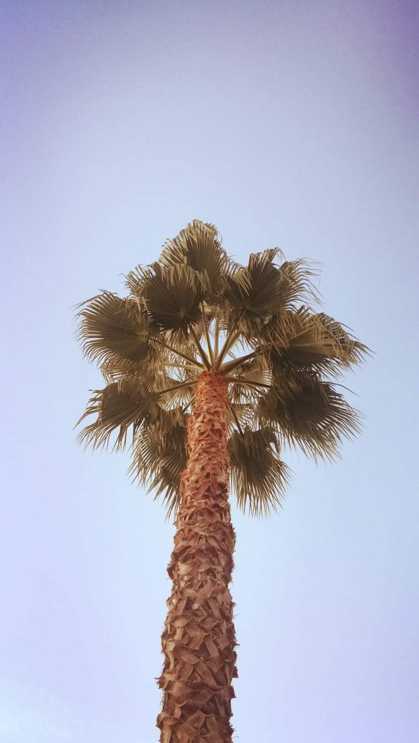 FB_IMG_1540634980892