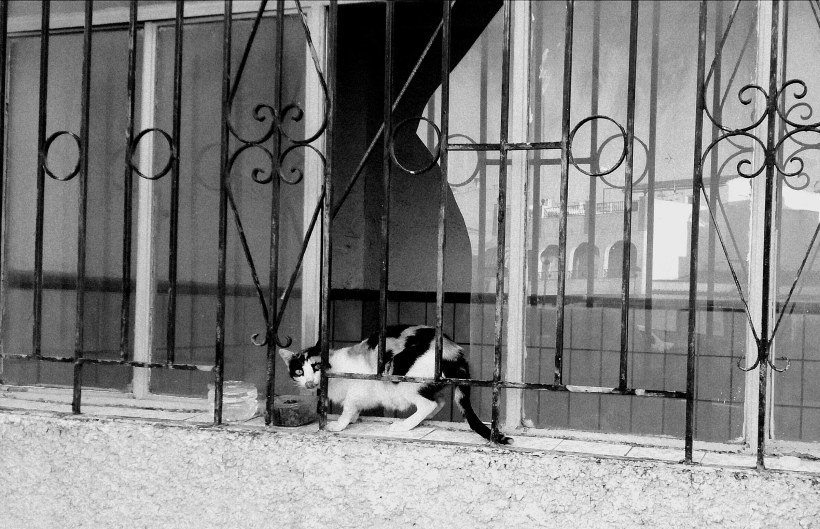 IMG_20181023_093257_119