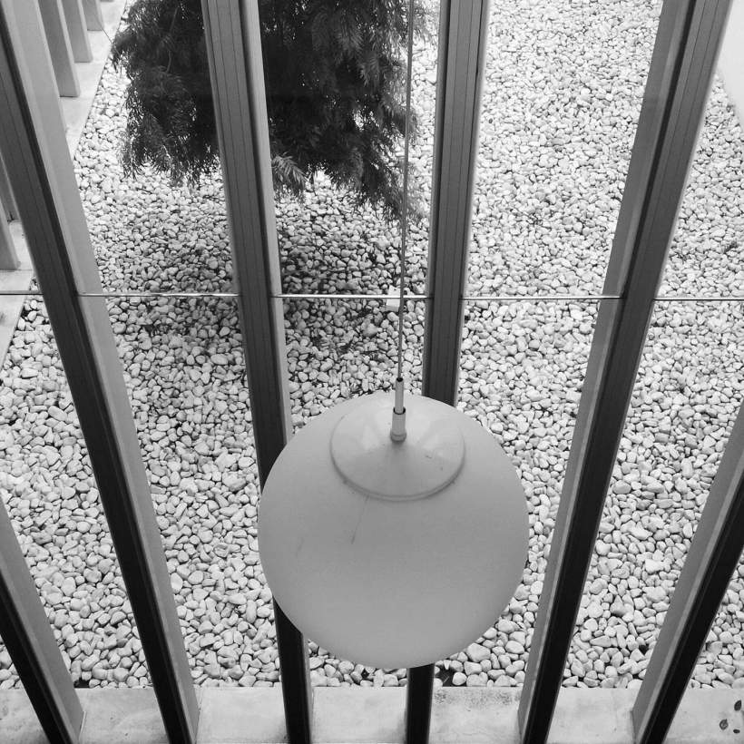 FB_IMG_1543161007158